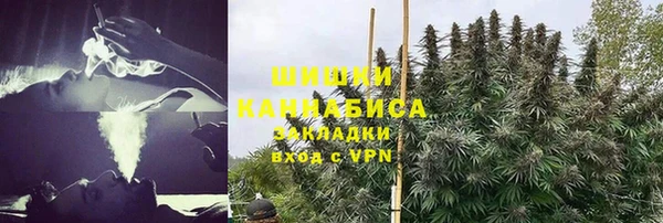 метадон Осташков