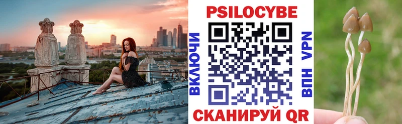 Псилоцибиновые грибы Psilocybe  Ленск 